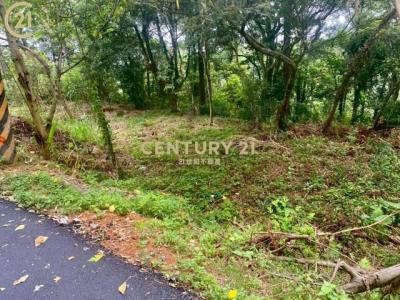 大旱坑段大東坑小段, Гуаньси, Уезд Синьчжу 306, Тайвань