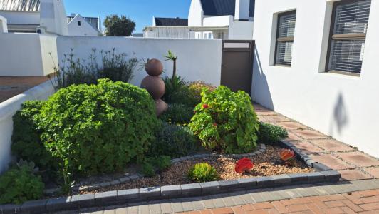 Velddrif, Western Cape, South Africa