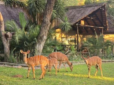 Hoedspruit, Limpopo, South Africa