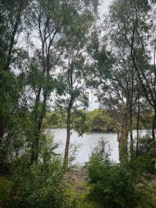 54/115 Rigg Road, Myalup, WA 6220, Австралия