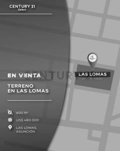 Prof. Manuel Riquelme entre Herib Campos Cervera y Papa Juan XIII 1.945, Las Lomas, Asunción 00001, Paraguay