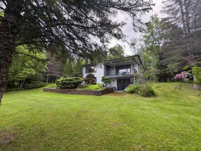 31  Ch. Cronier, Messines, Quebec J0X 2V0, Canada