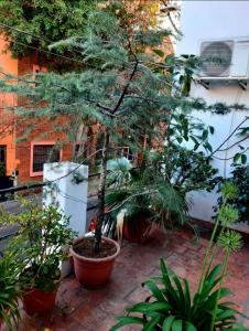 DE LAS ARTES 1000 1000, Parque Chacabuco, Capital Federal C1424BCC, Argentina