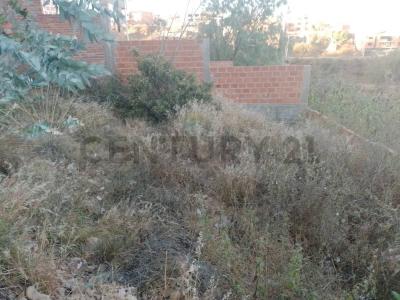 Avenida 6 de Agosto, Zona Ckarapunku S/N, Sucre, Chuquisaca 00001, ボリビア