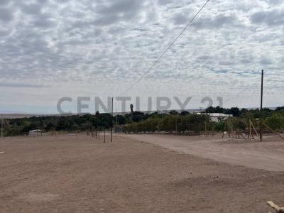 Tamarugal, Tarapacá 00001, Chile