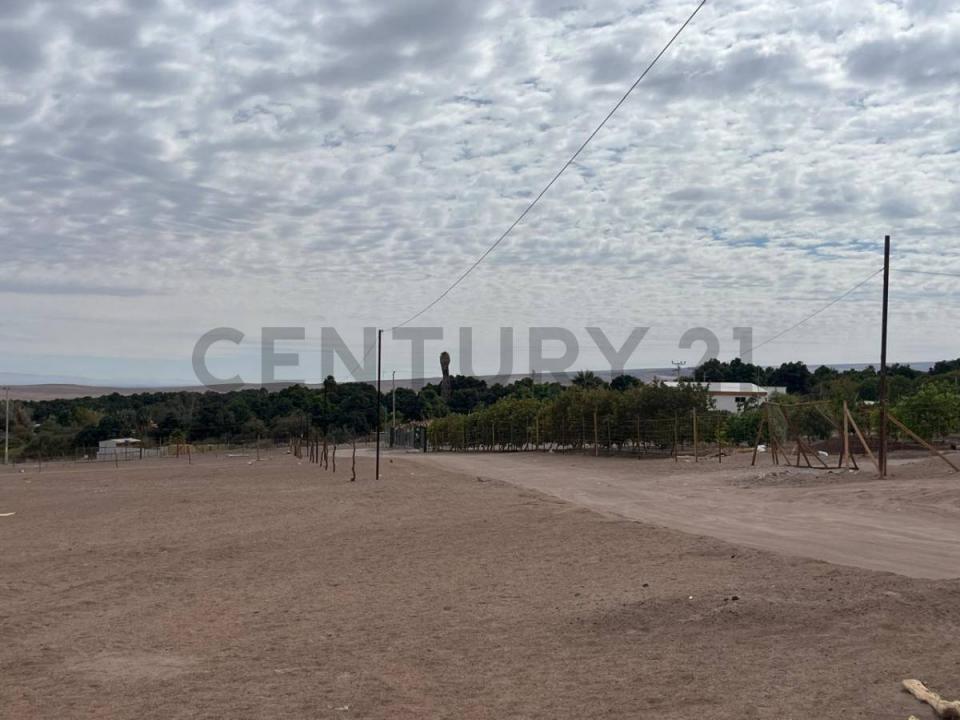 Tamarugal, Tarapacá 00001, Chile