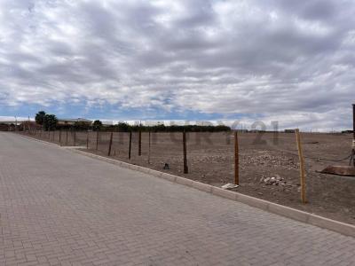 Tamarugal, Tarapacá 00001, Chile