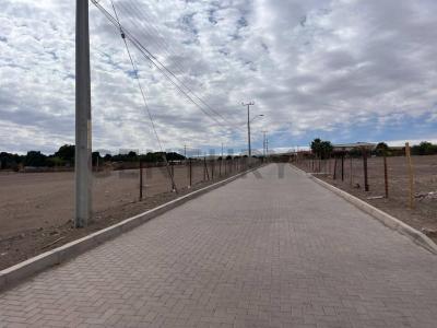 Tamarugal, Tarapacá 00001, Chile