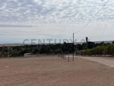 Tamarugal, Tarapacá 00001, Chile