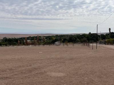 Tamarugal, Tarapacá 00001, Chile