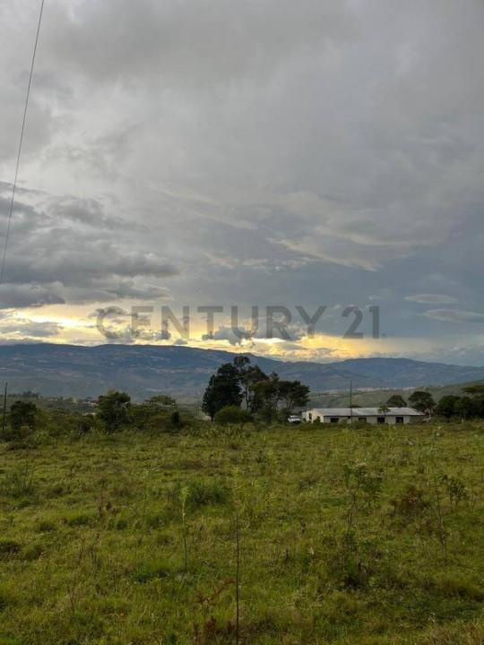 via casa el padre 3, Guásimos, Táchira 00001, فنزويلا