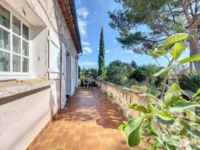 Meze, Languedoc-Roussillon 34140, Francia