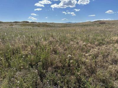 38103 Valley Hills Lane, Polson, Montana 59860, HOA KỲ