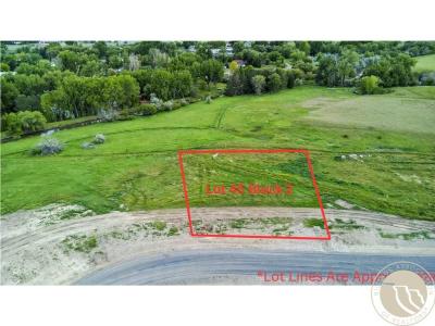 Lot 45 Block 2 Cody Boy Street, Billings, Montana 59106, États-Unis