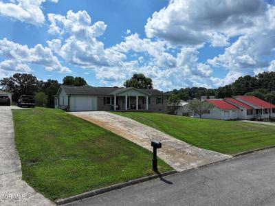 50 Pine Ridge Drive, Afton, Tennessee 37616, Stati Uniti