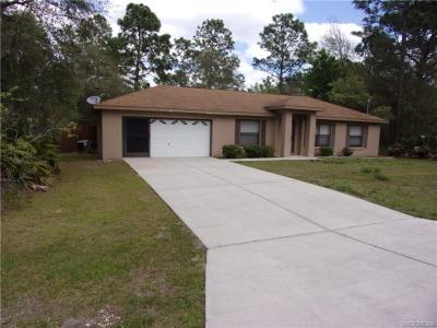 3041 W Edison Place, Citrus Springs, Florida 34433, USA