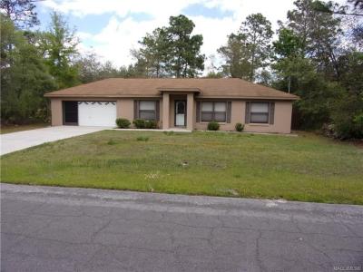 3041 W Edison Place, Citrus Springs, Flórida 34433, Estados Unidos