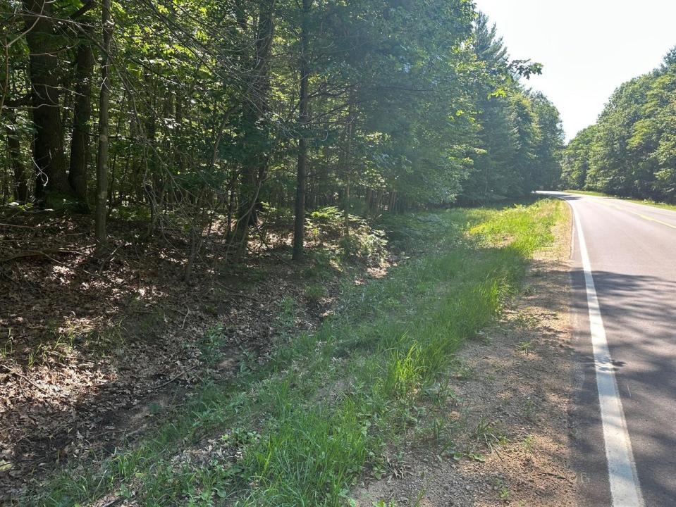 Ridge Rd, Mears, Michigan 49436, Estados Unidos