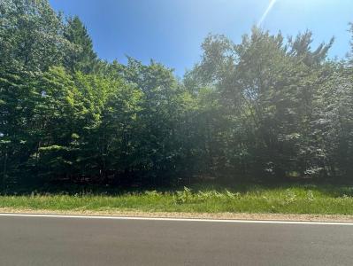 Ridge Rd, Mears, Michigan 49436, Estados Unidos