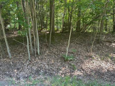 Ridge Rd, Mears, Michigan 49436, Estados Unidos