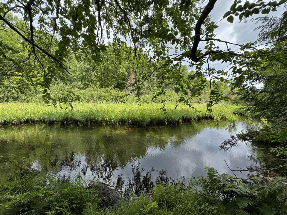 1CSM666 Mercer Lake Circle S, Mercer, Wisconsin 54547, HOA KỲ