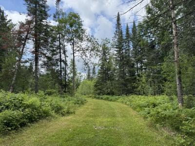 1CSM666 Mercer Lake Circle S, Mercer, Wisconsin 54547, HOA KỲ