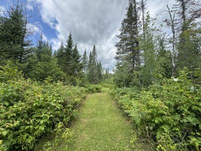 1CSM666 Mercer Lake Circle S, Mercer, Wisconsin 54547, HOA KỲ