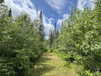 1CSM666 Mercer Lake Circle S, Mercer, Wisconsin 54547, HOA KỲ