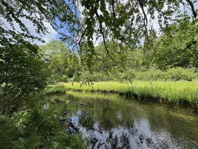 1CSM666 Mercer Lake Circle S, Mercer, Wisconsin 54547, HOA KỲ