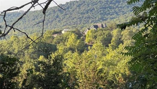 39 Deer Run Dr., Holiday Island, Arkansas 72631