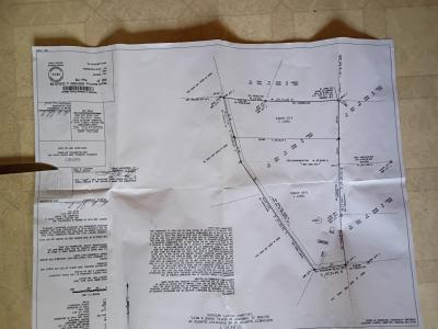 TBD COUNTY ROAD 433, New Bloomfield, Missouri 65063, États-Unis