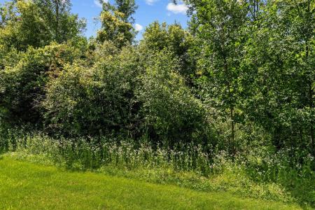 4761 Westbrook Court , 87, Appleton, Wisconsin 54913, USA