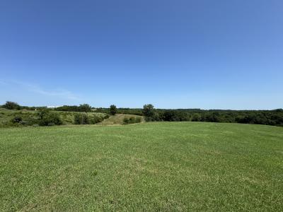 XXX State Highway B, Greentop, Missouri 63546, Stati Uniti