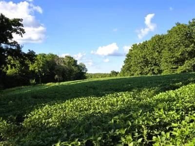 149 Acres M/L County Rd X, Soldiers Grove, ויסקונסין 54655, ארצות הברית של אמריקה