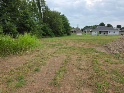 1675 Ridgemont Avenue, Moentt, Missouri 65708, USA