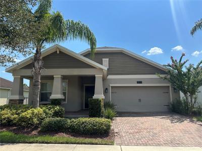 10132 Lovegrass Lane, ORLANDO, Флорида 32832, Соединенные Штаты