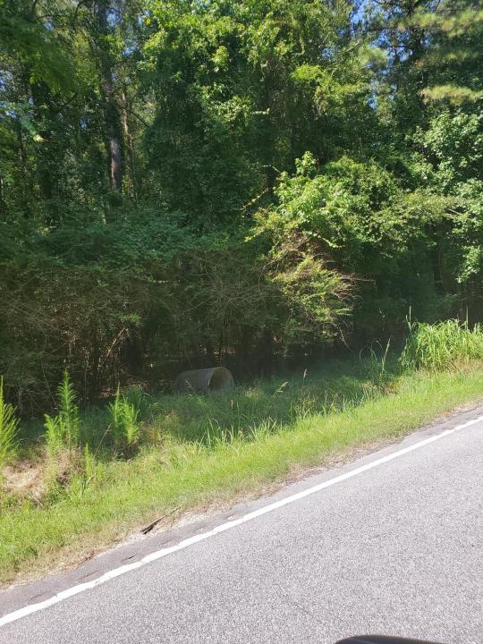 Multiple Lots Offspring Court, Sumter, South Carolina 29153, Stati Uniti
