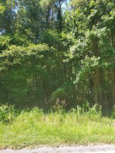 Multiple Lots Offspring Court, Sumter, South Carolina 29153, Stati Uniti