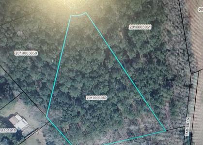 Multiple Lots Offspring Court, Sumter, South Carolina 29153, Stati Uniti