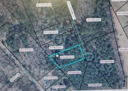 Multiple Lots Offspring Court, Sumter, South Carolina 29153, Stati Uniti