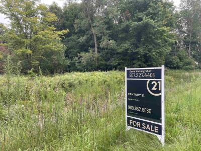 0 Moorish, Birch Run, Michigan 48415, USA