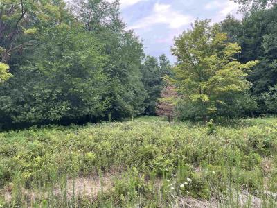 0 Moorish, Birch Run, Michigan 48415, Stati Uniti