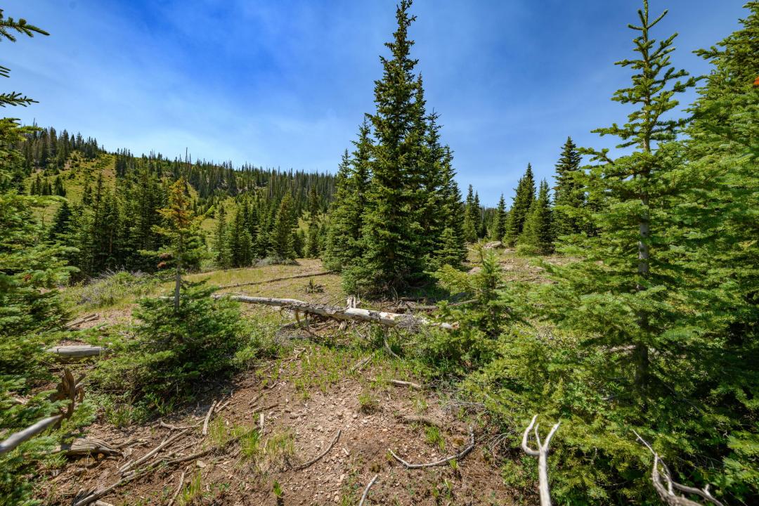 Lot 29, Aspen Mdws SE Neighbor, Brian Head, Utah 84719, Estados Unidos