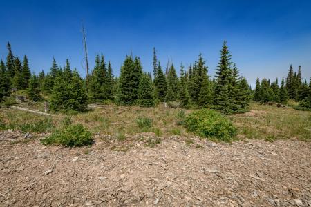 Lot 29, Aspen Mdws SE Neighbor, Brian Head, Utah 84719, USA