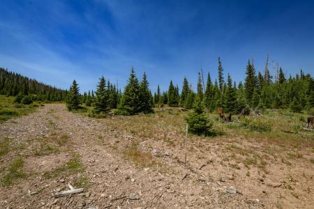 Lot 29, Aspen Mdws SE Neighbor, Brian Head, Utah 84719, Estados Unidos