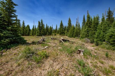 Lot 29, Aspen Mdws SE Neighbor, Brian Head, Utah 84719, Estados Unidos