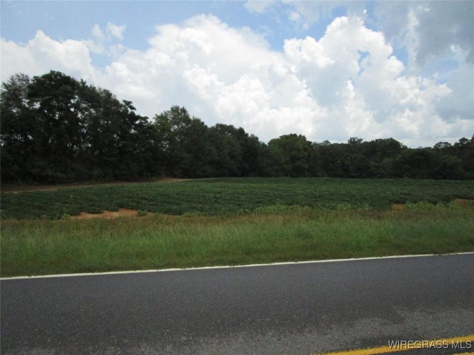 0 W HIGHWAY 92, Daleville, Alabama 36322, Stati Uniti