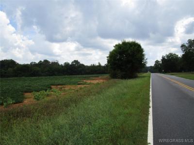 0 W HIGHWAY 92, Daleville, Alabama 36322, Stati Uniti
