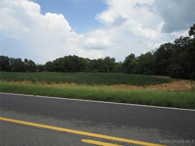 0 W HIGHWAY 92, Daleville, Alabama 36322, Stati Uniti