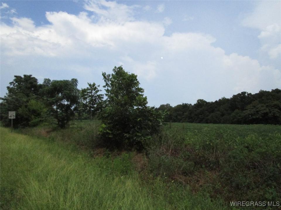 0 DALE COUNTY 1, Daleville, Alabama 36322, Stati Uniti